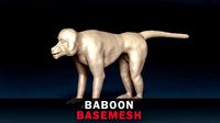 Baboon Base Mesh