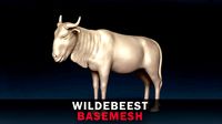 Wildebeest Base Mesh