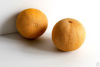 Melon 003