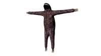 Sloth