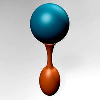 Rattle and Rock Maracas 01