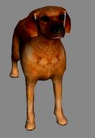 Dog 3d model