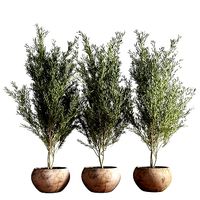 indoor plant stand 21