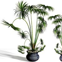 indoor plant stand 15