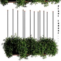Indoor plant set 06