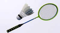 Badminton Racket and Shuttlecock