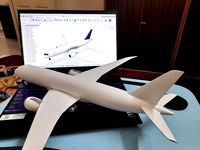 Boeing 787-8 Dreamliner For 3D printing