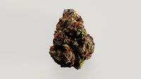 Cannabis Marijuana Weed Bud 04