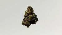 Cannabis Marijuana Weed Bud