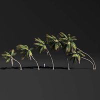 COCONUT TREE VOLUME PACK 02 - GFX INCLUDED