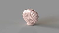 Shell Vase