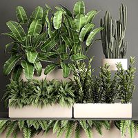 Collection of plants from bushes and thickets for landscape 1062