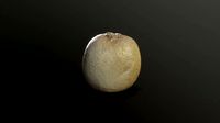 3D Scan Kiwi
