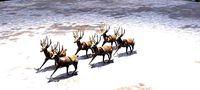 Reindeer statue 6