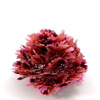 Seaweed Red V2