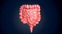 low poly colon