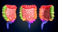 low poly colon
