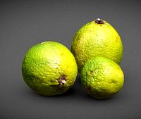 Lime 3D scan