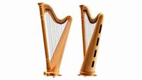 Harp 40-string 02