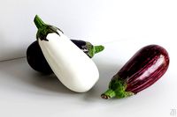 Eggplant 002