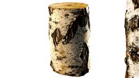 8k birch stump