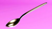 Metal Spoon