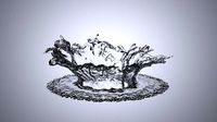 Splash Water 3D Model with Flat Standing Bottom