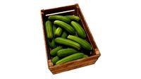 Zucchini in Wooden Crate 3D model