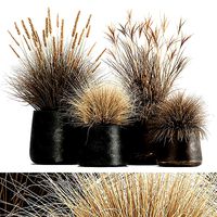 Dried Reeds in a rusty Flowerpot for the interior 1058