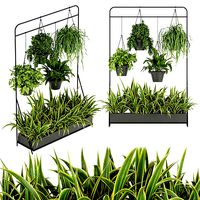 Collection plant vol 257 - indoor