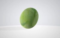 Unripe Pawpaw 1