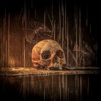 Five Cobwebs and a skull