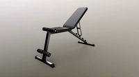 PBR Flat Incline Decline Bench Press