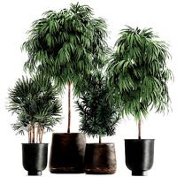 Plants in a rusty flowerpot for the interior 1056