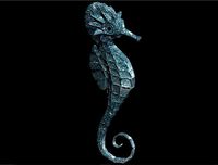 Seahorse
