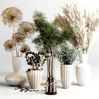 bouquet 13 concrete vse plant pampas and dry hogweed dry leaves