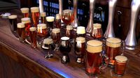 Beer Glassware - A complete collection