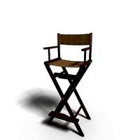 Directors chair Makeup chair Beautician chair