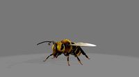 animated bee
