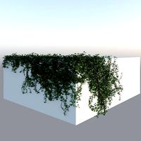 Realistic Climbing Ivy Corner