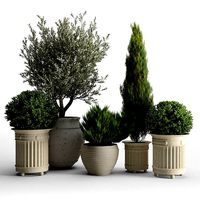 prescott planter set
