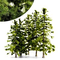 Alaska Cedar tree collection