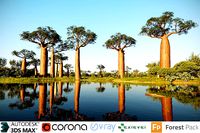 African plants - Include GrowFX and Mesh file