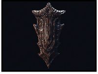 Dragonborn Shield