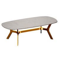 Elke Rectangular Marble Coffee Table with Brass Base