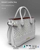 Burberry Leather Bag