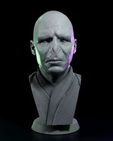 Lord Voldemort - FanArt Bust | 3D