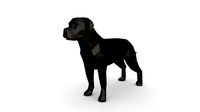 Rottweiler figure | 3D