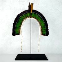 20th Century Brazilian Tribal Feather Headdress