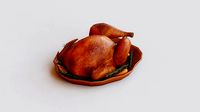 Roasted Turkey G52